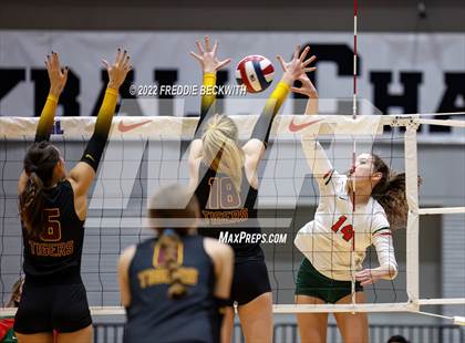 Thumbnail 2 in The Woodlands vs. Dripping Springs (UIL 6A Semifinal) photogallery.