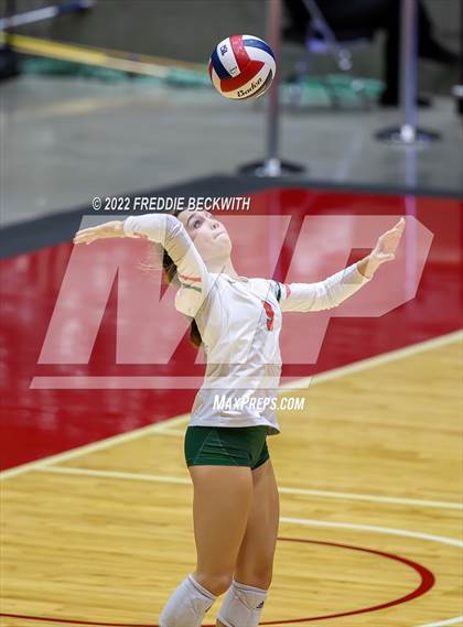 Thumbnail 1 in The Woodlands vs. Dripping Springs (UIL 6A Semifinal) photogallery.