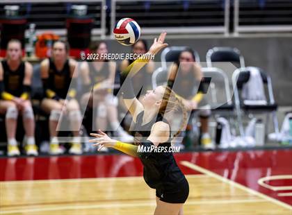 Thumbnail 2 in The Woodlands vs. Dripping Springs (UIL 6A Semifinal) photogallery.