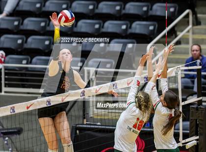 Thumbnail 2 in The Woodlands vs. Dripping Springs (UIL 6A Semifinal) photogallery.