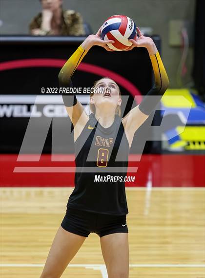 Thumbnail 1 in The Woodlands vs. Dripping Springs (UIL 6A Semifinal) photogallery.
