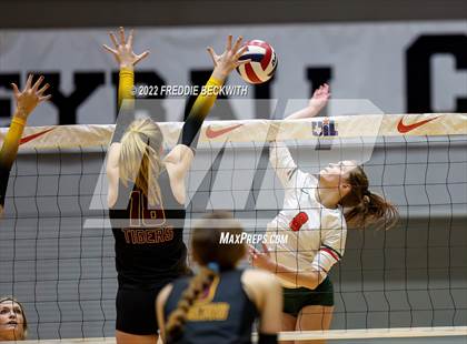 Thumbnail 3 in The Woodlands vs. Dripping Springs (UIL 6A Semifinal) photogallery.