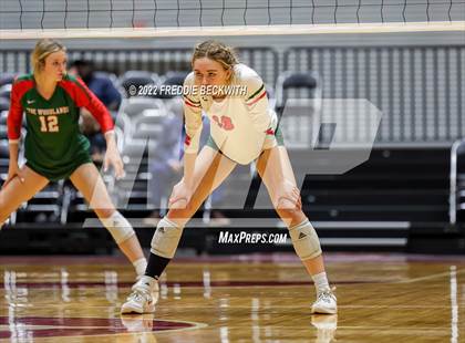 Thumbnail 2 in The Woodlands vs. Dripping Springs (UIL 6A Semifinal) photogallery.