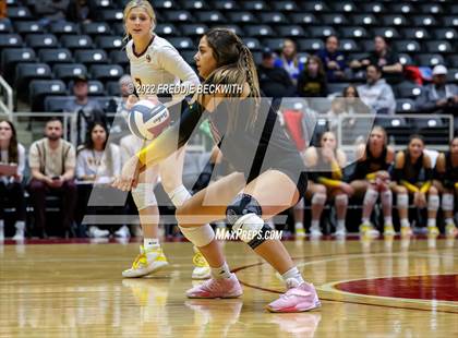 Thumbnail 3 in The Woodlands vs. Dripping Springs (UIL 6A Semifinal) photogallery.