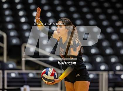 Thumbnail 1 in The Woodlands vs. Dripping Springs (UIL 6A Semifinal) photogallery.