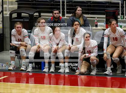 Thumbnail 3 in The Woodlands vs. Dripping Springs (UIL 6A Semifinal) photogallery.
