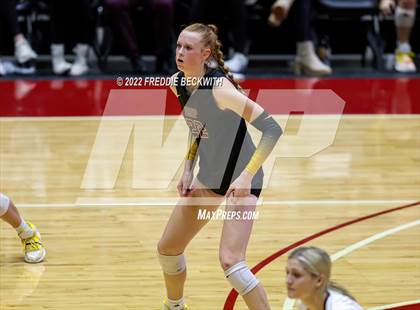 Thumbnail 3 in The Woodlands vs. Dripping Springs (UIL 6A Semifinal) photogallery.