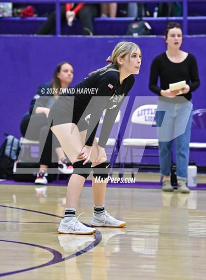 Thumbnail 3 in Pomona @ Littleton photogallery.