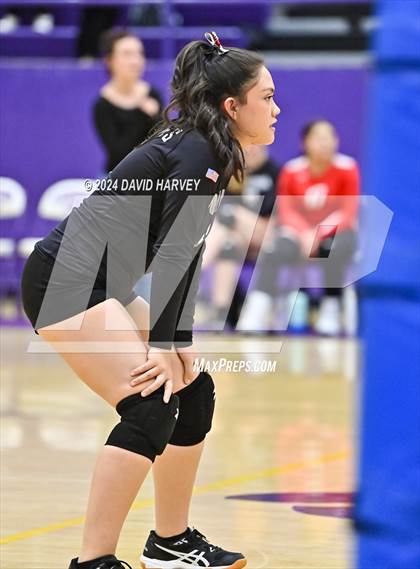 Thumbnail 1 in Pomona @ Littleton photogallery.