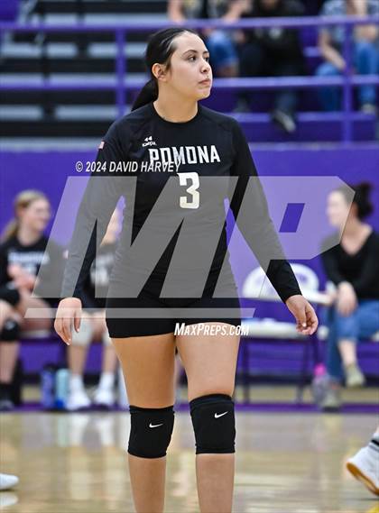 Thumbnail 1 in Pomona @ Littleton photogallery.