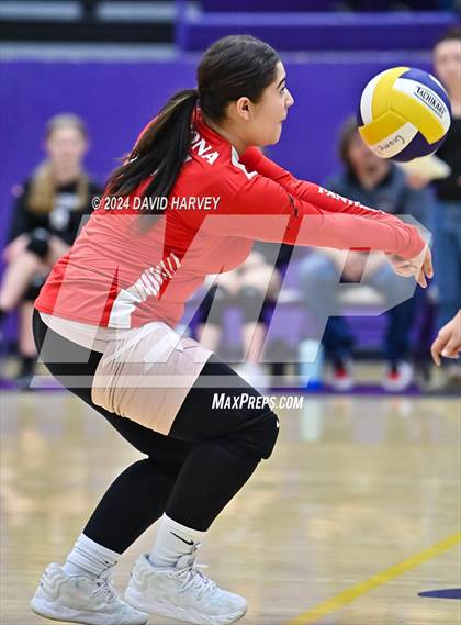 Thumbnail 1 in Pomona @ Littleton photogallery.