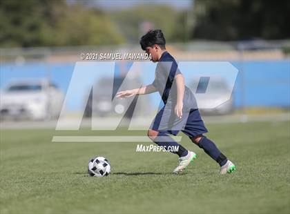 Thumbnail 2 in Harvard-Westlake @  Birmingham photogallery.