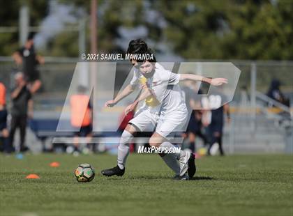 Thumbnail 1 in Harvard-Westlake @  Birmingham photogallery.