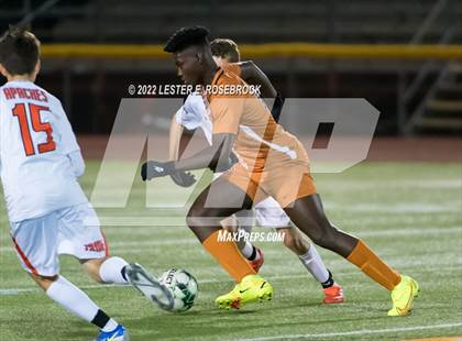 Thumbnail 2 in Gonzales @ Jones photogallery.