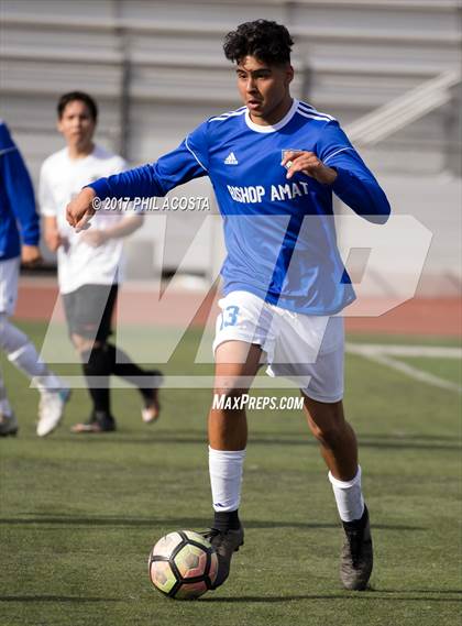Thumbnail 1 in Bishop Amat vs St. Pius X-St. Matthias Academy photogallery.
