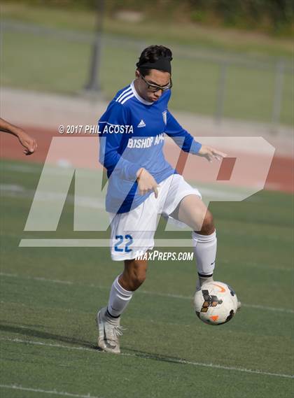 Thumbnail 3 in Bishop Amat vs St. Pius X-St. Matthias Academy photogallery.