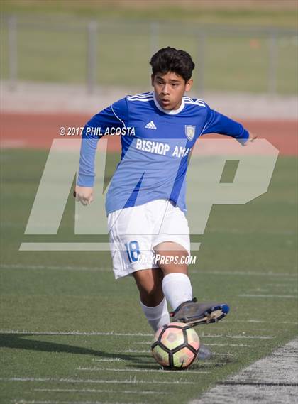 Thumbnail 1 in Bishop Amat vs St. Pius X-St. Matthias Academy photogallery.