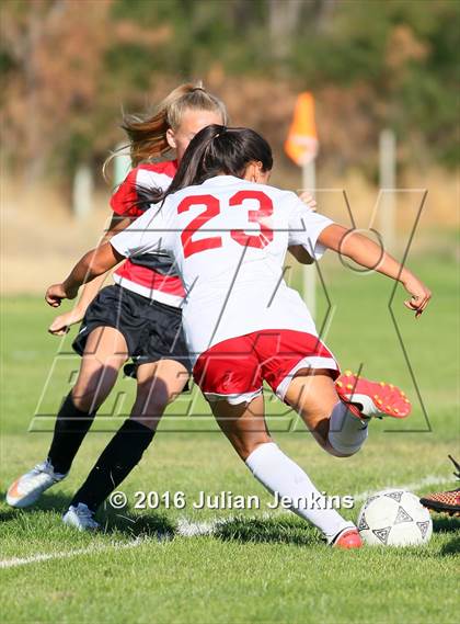 Thumbnail 3 in Payette @ Weiser photogallery.