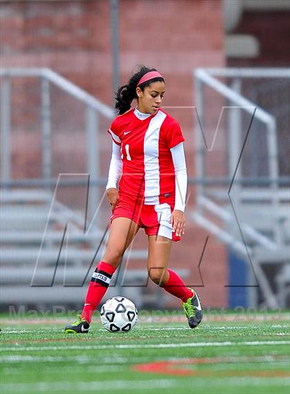 Thumbnail 2 in North Rockland vs. Massapequa (NYSPHSAA Class AA Final) photogallery.