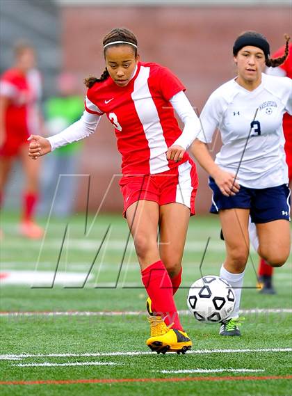 Thumbnail 3 in North Rockland vs. Massapequa (NYSPHSAA Class AA Final) photogallery.