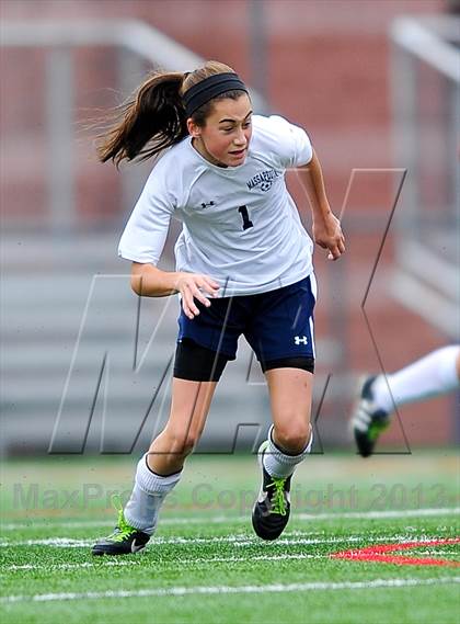 Thumbnail 2 in North Rockland vs. Massapequa (NYSPHSAA Class AA Final) photogallery.