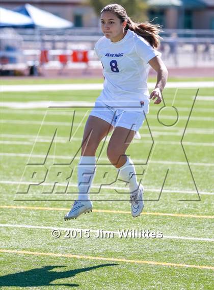 Thumbnail 2 in Round Valley vs. Blue Ridge (AIA Division 4 Final) photogallery.