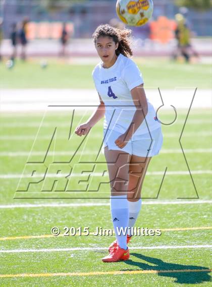 Thumbnail 3 in Round Valley vs. Blue Ridge (AIA Division 4 Final) photogallery.