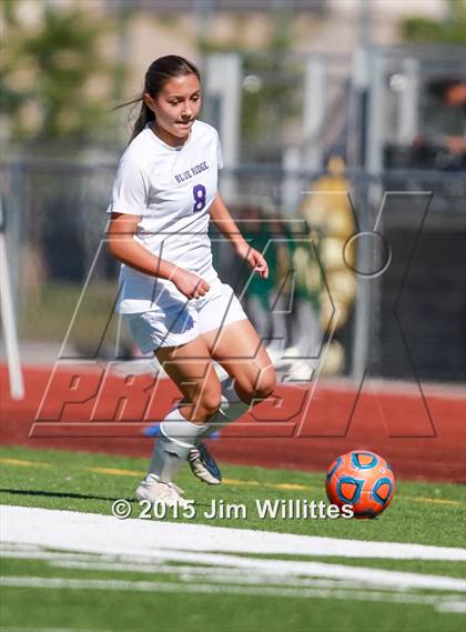 Thumbnail 2 in Round Valley vs. Blue Ridge (AIA Division 4 Final) photogallery.