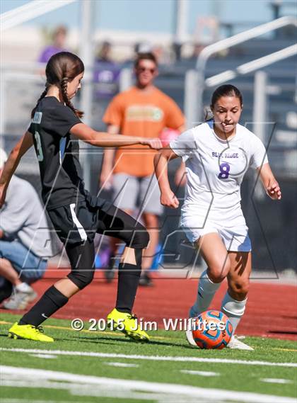 Thumbnail 3 in Round Valley vs. Blue Ridge (AIA Division 4 Final) photogallery.