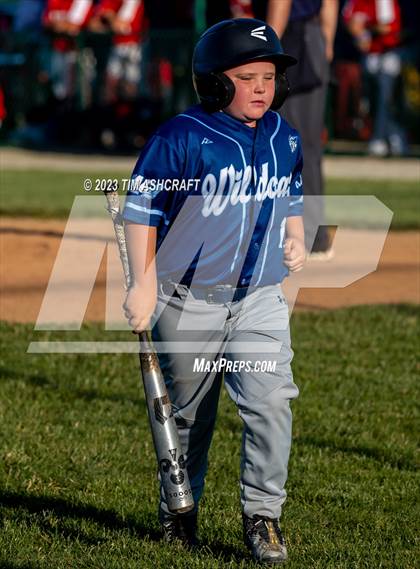 Thumbnail 1 in Connersville @ Franklin County (IHSAA 3A Section 29 Final) photogallery.