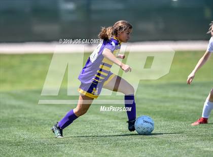 Thumbnail 1 in McAllen vs Lake Travis (Class 6A Region 4 Final) photogallery.