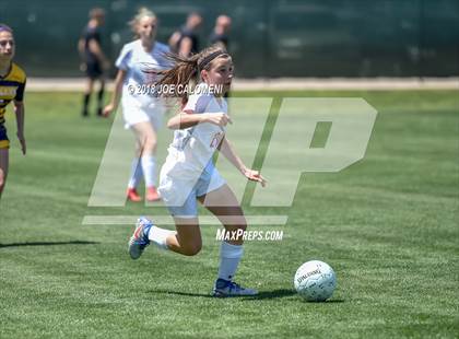 Thumbnail 1 in McAllen vs Lake Travis (Class 6A Region 4 Final) photogallery.