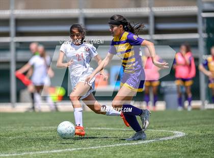 Thumbnail 3 in McAllen vs Lake Travis (Class 6A Region 4 Final) photogallery.
