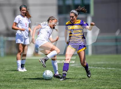 Thumbnail 1 in McAllen vs Lake Travis (Class 6A Region 4 Final) photogallery.