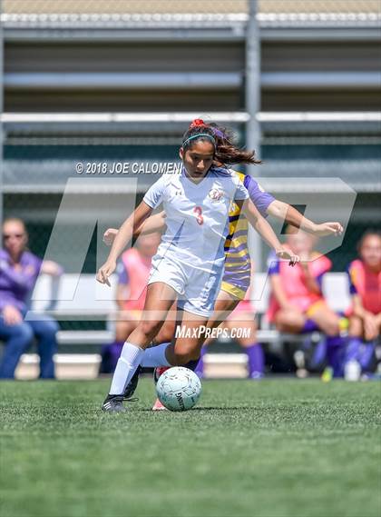 Thumbnail 1 in McAllen vs Lake Travis (Class 6A Region 4 Final) photogallery.
