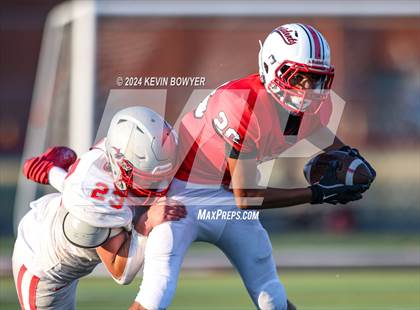 Thumbnail 1 in Shelby @ Marion Harding photogallery.