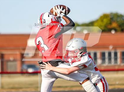 Thumbnail 1 in Shelby @ Marion Harding photogallery.