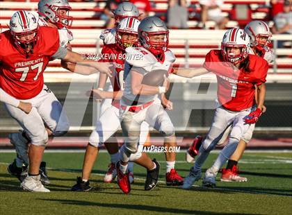 Thumbnail 3 in Shelby @ Marion Harding photogallery.