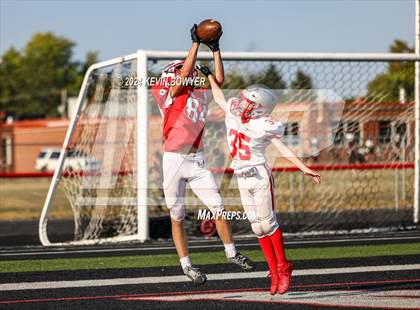 Thumbnail 3 in Shelby @ Marion Harding photogallery.