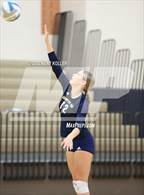 Photo from the gallery "Detroit Country Day @ Stoney Creek"