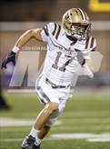 Photo from the gallery "St. Francis @ Cathedral"
