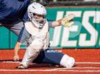 Photo from the gallery "Westview @ Jesuit"