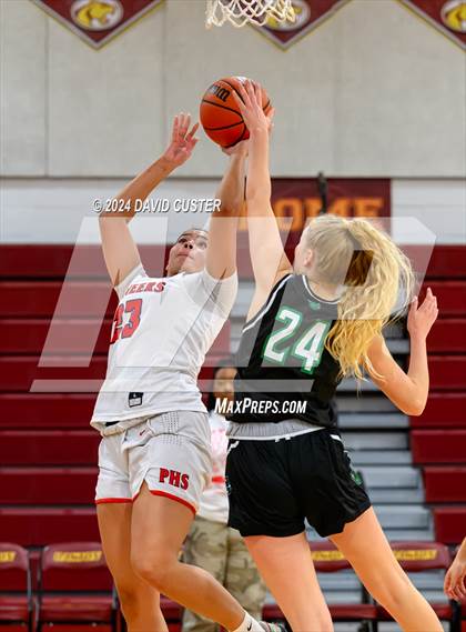 Thumbnail 2 in Woodgrove vs. Patriot (Cougar Holiday Classic) photogallery.