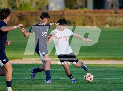 Thumbnail 1 in Bishop Diego @ Laguna Blanca photogallery.