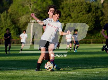 Thumbnail 2 in Bishop Diego @ Laguna Blanca photogallery.