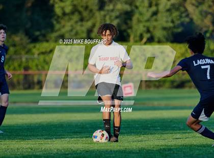 Thumbnail 1 in Bishop Diego @ Laguna Blanca photogallery.