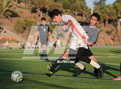 Thumbnail 2 in  Beverly Hills @  Brentwood School photogallery.