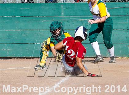 Thumbnail 3 in McClatchy @ Kennedy photogallery.