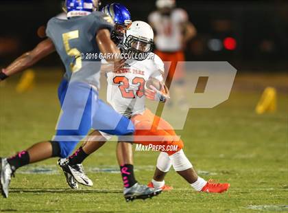 Thumbnail 3 in Orange Park @ Menendez photogallery.