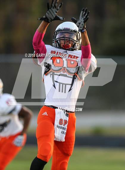 Thumbnail 1 in Orange Park @ Menendez photogallery.